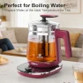 Превью Electric Kettle with Temperature Control — Electric Kettle, ICOOKPOT