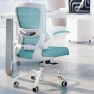 Превью Ergonomic Desk Chair with Adjustable Lumbar Support — Smart Chairs, TRALT