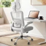 Превью Ergonomic Mesh Desk Chair with Adjustable Lumbar Support and Headrest — Smart Chairs, Zeonsit