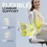 Превью Ergonomic Mesh Desk Chair with Adjustable Lumbar Support and Headrest — Smart Chairs, Zeonsit