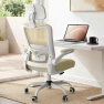 Превью Ergonomic Mesh Desk Chair with Adjustable Lumbar Support and Headrest — Smart Chairs, Zeonsit