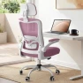 Превью Ergonomic Mesh Desk Chair with Adjustable Lumbar Support and Headrest — Smart Chairs, Zeonsit