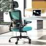 Превью Ergonomic Mesh Desk Chair with Adjustable Lumbar Support and Headrest — Smart Chairs, Zeonsit
