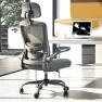 Превью Ergonomic Mesh Desk Chair with Adjustable Lumbar Support and Headrest — Smart Chairs, Zeonsit