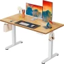 Превью Height Adjustable Electric Standing Desk 55 x 28 Inches — Standing Desk, ErGear