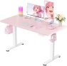 Превью Height Adjustable Electric Standing Desk 55 x 28 Inches — Standing Desk, ErGear