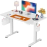 Превью Height Adjustable Electric Standing Desk 55 x 28 Inches — Standing Desk, ErGear