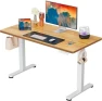 Превью Height Adjustable Electric Standing Desk 55 x 28 Inches — Standing Desk, ErGear