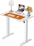 Превью Height Adjustable Electric Standing Desk 55 x 28 Inches — Standing Desk, ErGear