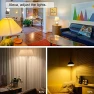 Превью 2-Pack WiFi Dimmable Smart Plug — Smart Plug, New One