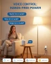 Превью Matter Smart Plug 2-Pack — Smart Plug, DEWENWILS