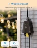 Превью Outdoor Smart Plug with 2 Outlets — Smart Plug, meross