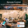 Превью Outdoor Smart WiFi Plug Outlet — Smart Plug, TAYMATIC