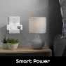 Превью Switch Duo Double Smart Plug — Smart Plug, Geeni