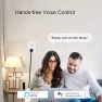 Превью WiFi Smart Dimmable Plug 2 Pack — Smart Plug, Eva's Light Store