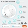 Превью WiFi Smart Outlet Plug with Remote, Wall Switch, Compatible with Alexa and Google — Smart Plug, GREENCYCLE