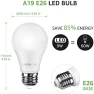 Превью LED Smart Light Bulbs — Smart Light Bulb, Lighting EVER
