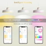 Превью MR16 Smart Bulb, RGBCW Color Changing, 5W GU5.3, Dimmable — Smart Light Bulb, DiCUNO