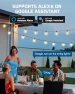 Превью Outdoor Dimmer for String Lights — Smart Plug, DEWENWILS