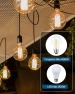 Превью Outdoor Dimmer for String Lights — Smart Plug, DEWENWILS