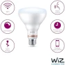 Превью Smart 65W BR30 LED Light Bulb 4-Pack - Daylight — Smart Light Bulb, Philips