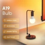Превью Smart Light Bulbs 2-Pack — Smart Light Bulb, Nanoleaf