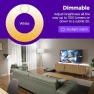 Превью Smart Light Bulbs (Color, 2-Pack) — Smart Light Bulb, Roku