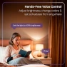 Превью Smart Light Bulbs, Dimmable Color Changing LED RGBW — Smart Light Bulb, Velds