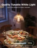 Превью Smart Vintage Light Bulbs — Smart Light Bulb, Govee