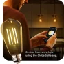 Превью Smart Wi-Fi Tunable White Vintage Edison LED Bulb — Smart Light Bulb, Globe Electric