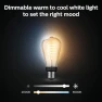 Превью ST19 White Ambiance LED Smart Vintage Edison Filament Bulb, Warm — Smart Light Bulb, Philips Hue