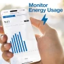 Превью Wi-Fi Smart Plug with Bluetooth Mesh Gateway — Smart Plug, Intermatic