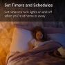 Превью Color Bulb 2-Pack — Smart Light Bulb, abode