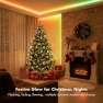 Превью LED Light Strip Smart IC+RGB, Music Sync, 100FT — LED Strip Lights, ATHONO