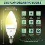 Превью Matter Candelabra Smart Light Bulbs 60W Equivalent — Smart Light Bulb, Lightinginside