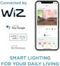 Превью Smart 40W B12 Tunable White Smart Candle-shape 4-Pack — Smart Light Bulb, Philips