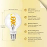 Превью Smart Edison Bulb G80, Color Changing WiFi Smart Light Bulb — Smart Light Bulb, DiCUNO