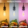 Превью Smart Edison Bulb G80, Color Changing WiFi Smart Light Bulb — Smart Light Bulb, DiCUNO