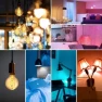 Превью Smart Edison Bulb G80, Color Changing WiFi Smart Light Bulb — Smart Light Bulb, DiCUNO