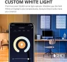 Превью Smart Globe Bulbs G25, Alexa Compatible Decorative Round Vanity Bulbs, 5W, Color Changing RGBCW, Dimmable WiFi Vanity... — Smart Light Bulb, Sunco