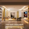 Превью COB LED Strip Lights, CCT Smart IC — LED Strip Lights, PAUTIX