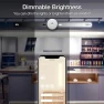 Превью COB LED Strip Lights — LED Strip Lights, DAYBETTER