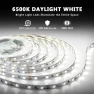 Превью White LED Strip Lights, 20ft Dimmable Super Bright 24V 6500K 360 LEDs — LED Strip Lights, dalattin