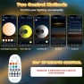 Превью Outdoor LED Strip Lights — LED Strip Lights, TENDIST