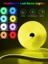 Превью RGB LED Neon Rope Lights with Remote App Control — LED Strip Lights, Ledagic
