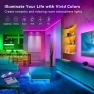 Превью Smart LED Strip Lights (2 Rolls of 100ft) — LED Strip Lights, Lcutml