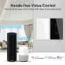 Превью Smart Wall Touch Light Switch (2 Gang) — Smart Switch, Lsliangmei