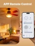 Превью Star Ring Smart Ceiling Fan Control and Dimmer Light Switch — Smart Switch, MOES