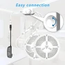 Превью White LED Strip Lights, 100ft (2 Rolls of 50ft) Dimmable 6500K Daylight White LED Light Strip, 1800 LEDs Flexible LED... — LED Strip Lights, phopollo