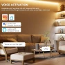Превью 5-in-1 LED Controller Dimmable — LED Strip Lights, PAUTIX